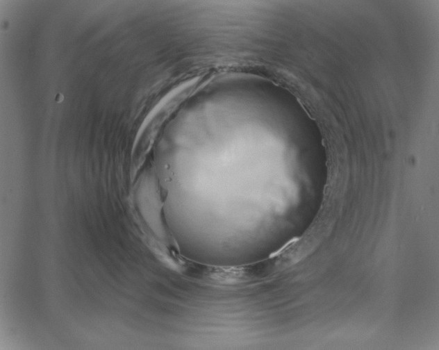 X0000065250720200603031803