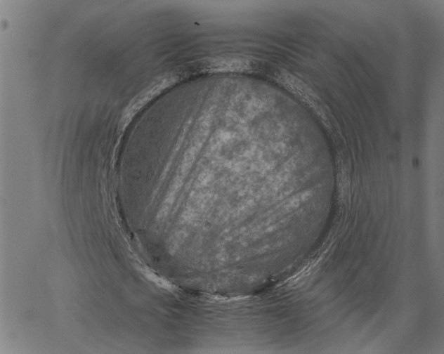 X0000065250721200603031803