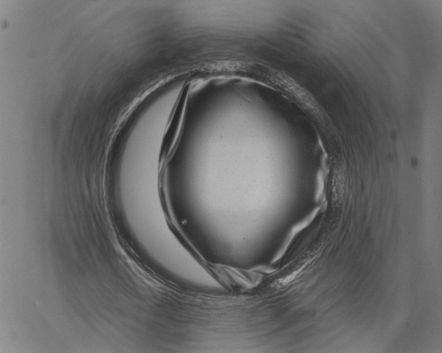 X0000065250722200603031803