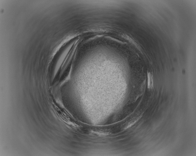 X0000065250723200603031803