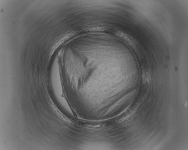 X0000065250725200603031803