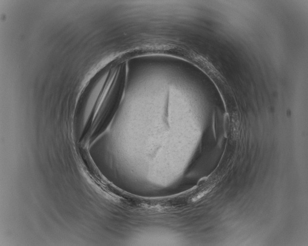 X0000065250726200603031803