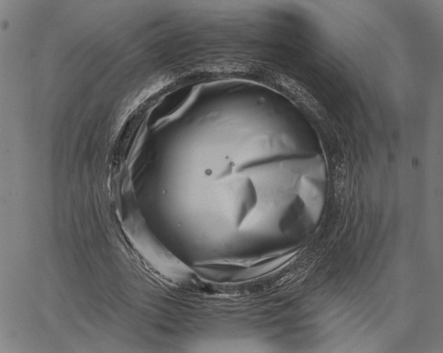 X0000065250727200603031803