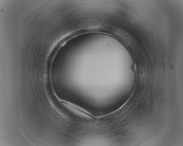 X0000065250728200603031803