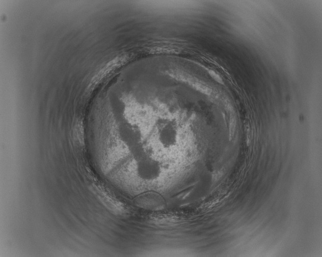 X0000065250729200603031803