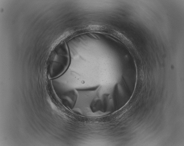 X0000065250730200603031803