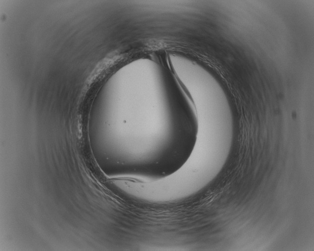 X0000065250731200603031803