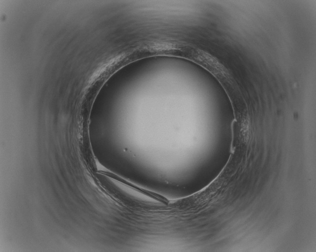 X0000065250732200603031803