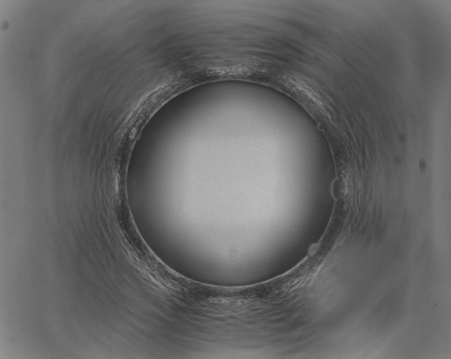 X0000065250733200603031803