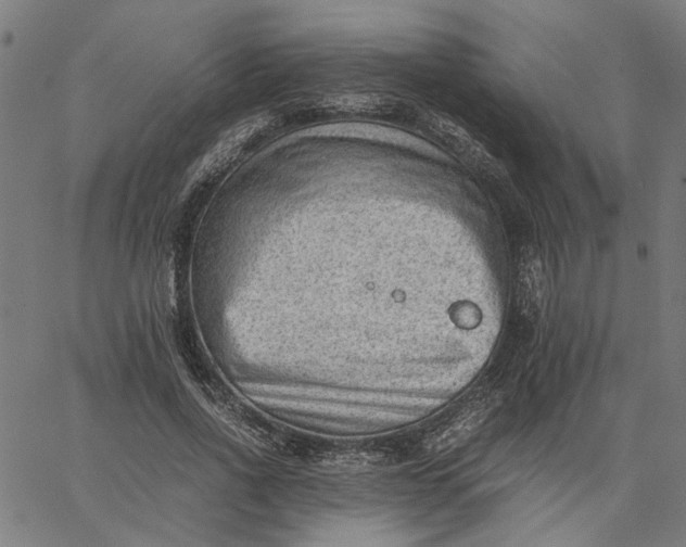 X0000065250734200603031803