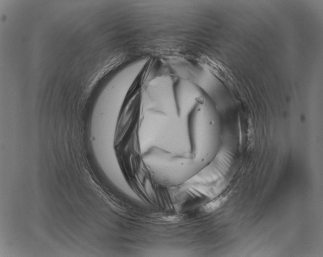 X0000065250735200603031803