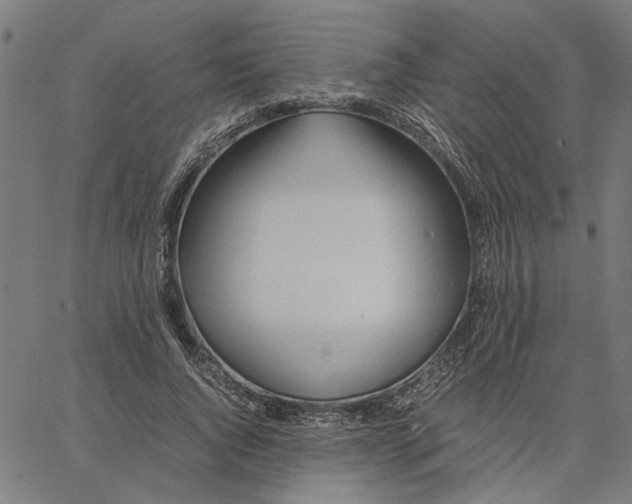 X0000065250736200603031803