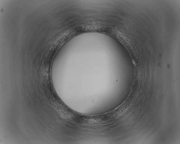 X0000065250737200603031803