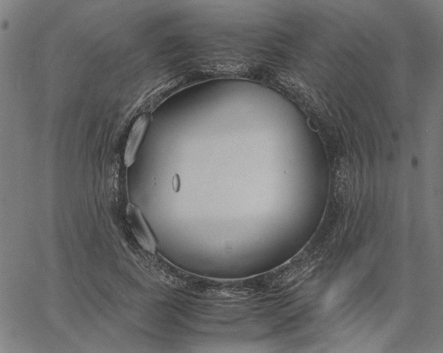 X0000065250739200603031803