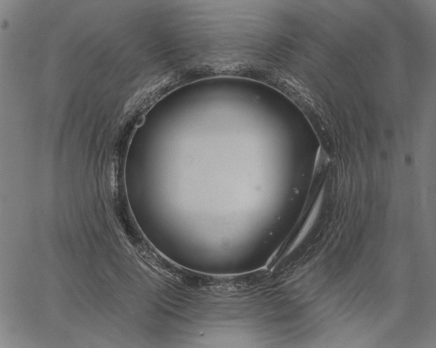 X0000065250740200603031803