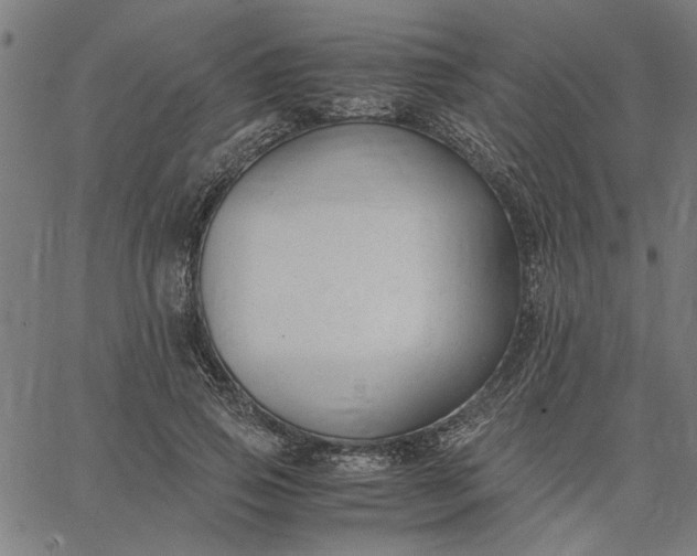 X0000065250741200603031803