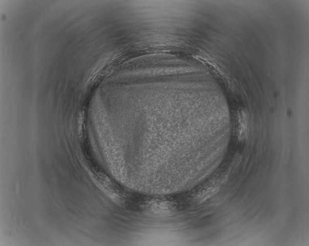 X0000065250742200603031803