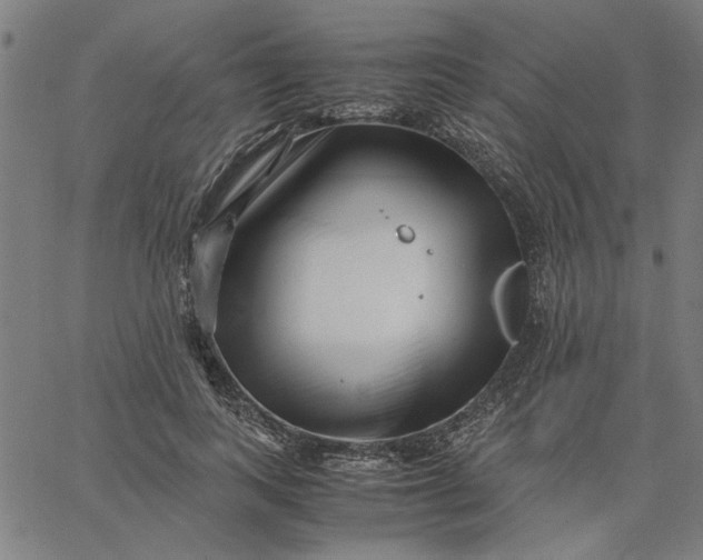 X0000065250743200603031803