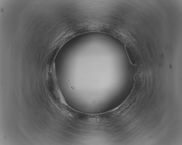 X0000065250744200603031803