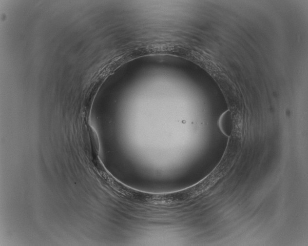 X0000065250746200603031803