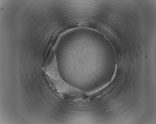 X0000065250748200603031803