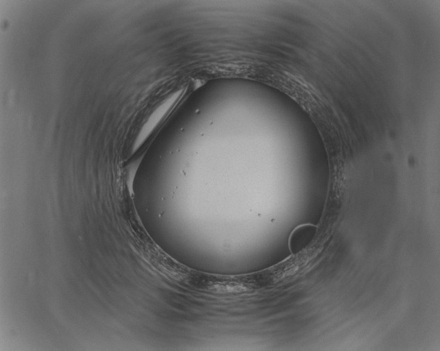 X0000065250749200603031803