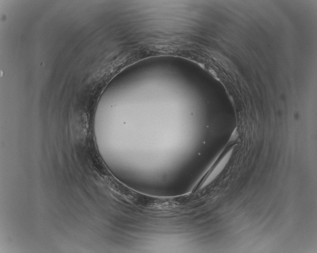 X0000065250752200603031803