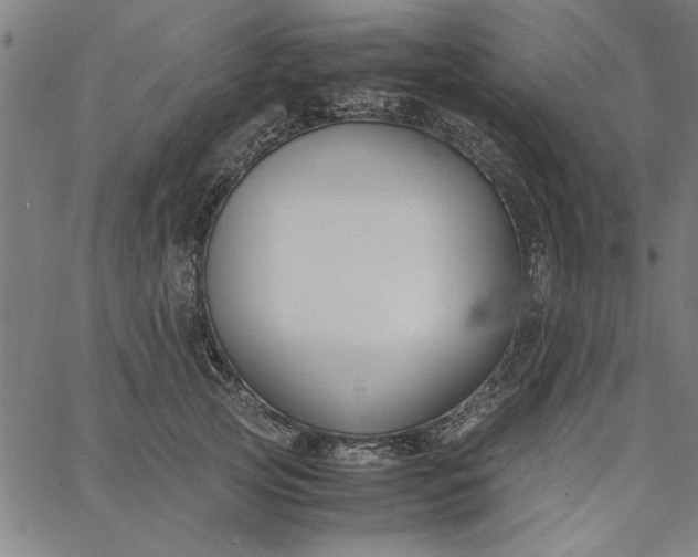 X0000065250753200603031803