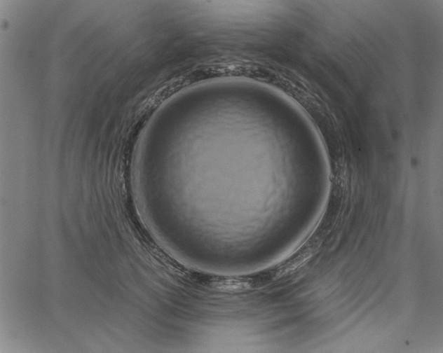 X0000065250754200603031803