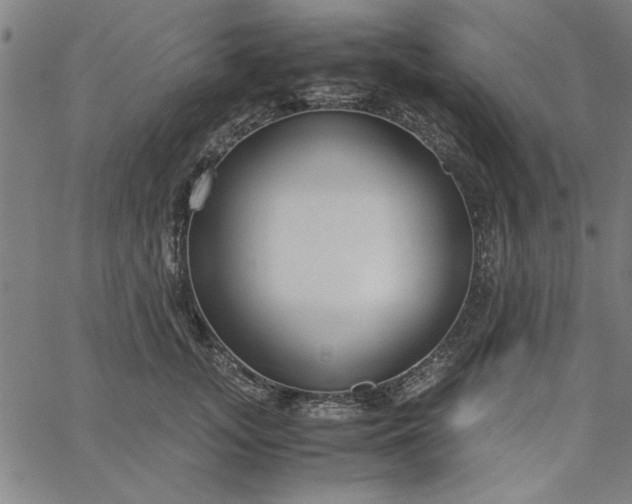 X0000065250755200603031803