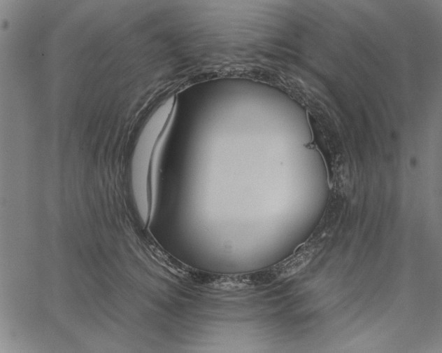 X0000065250756200603031803