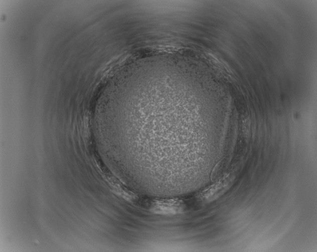 X0000065250757200603031803