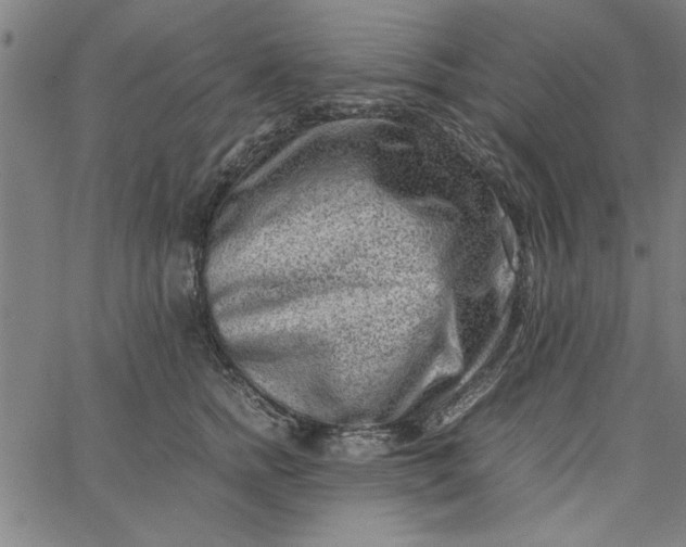 X0000065250758200603031803