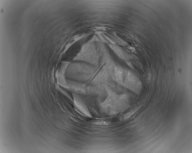 X0000065250759200603031803