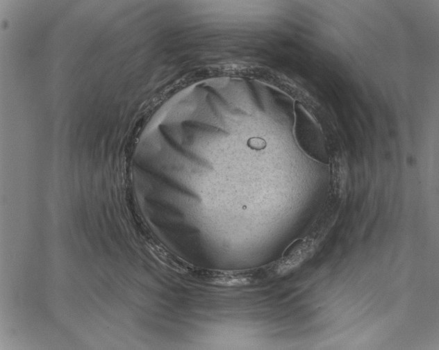 X0000065250760200603031803