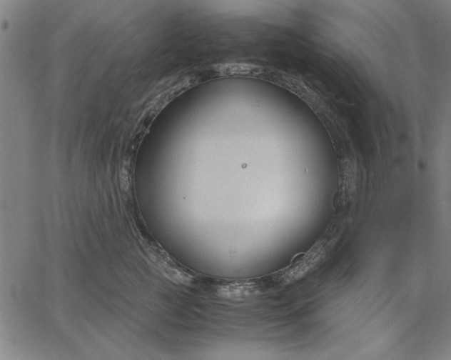 X0000065250761200603031803