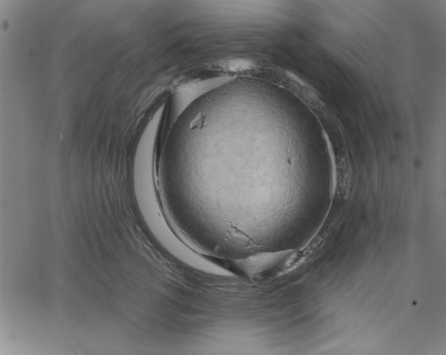 X0000065250762200603031803