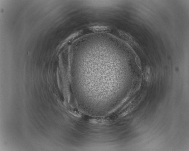 X0000065250763200603031803