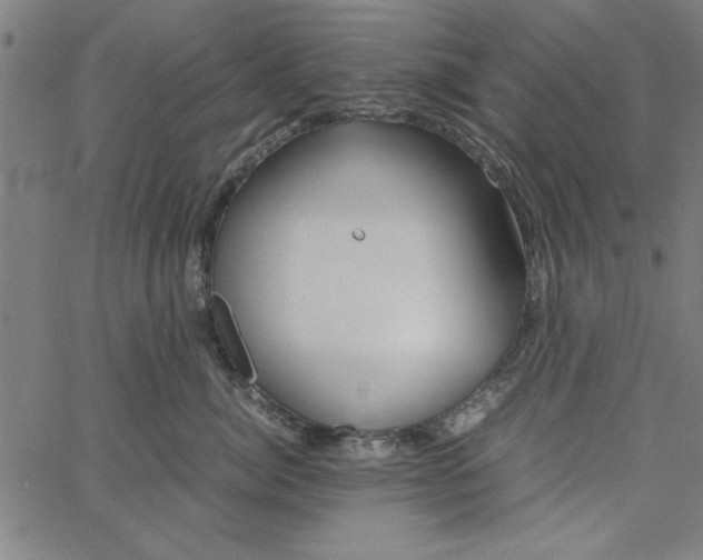 X0000065250764200603031803