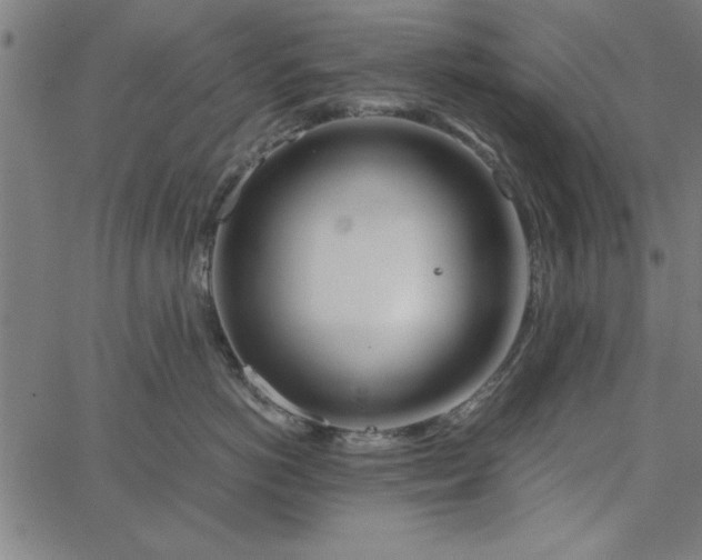 X0000065250766200603031803