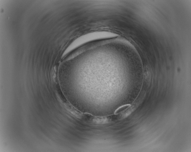 X0000065250767200603031803