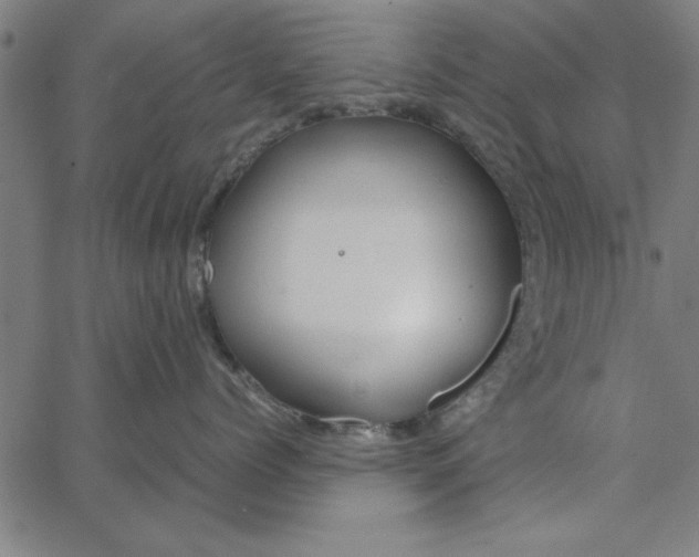 X0000065250768200603031803