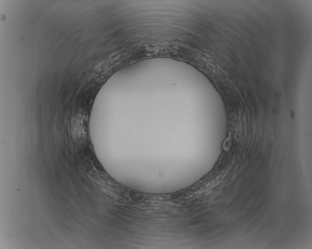 X0000065250770200603031803