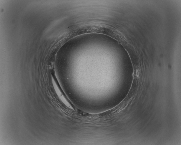 X0000065250771200603031802