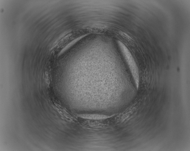 X0000065250774200603031802