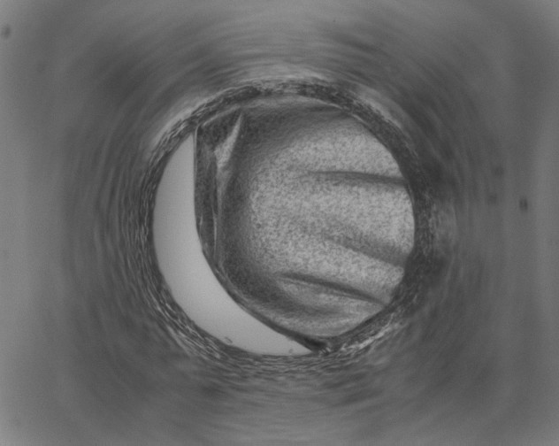 X0000065250775200603031802