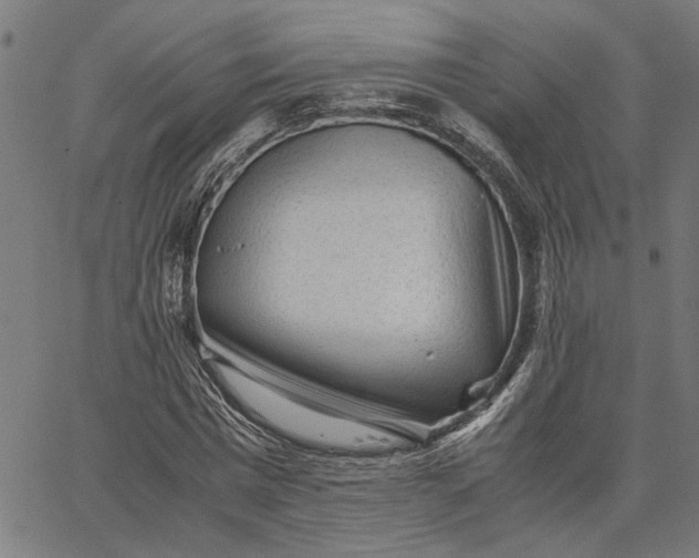 X0000065250777200603031802