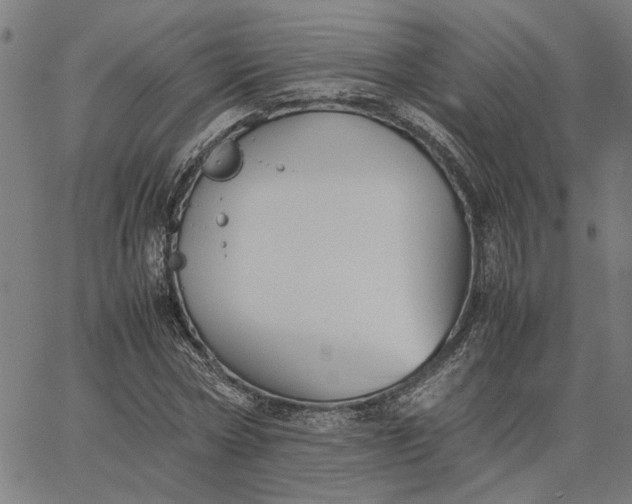 X0000065250778200603031802