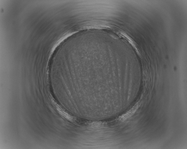 X0000065250779200603031802