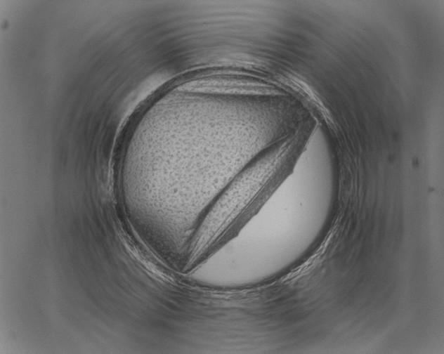 X0000065250780200603031802